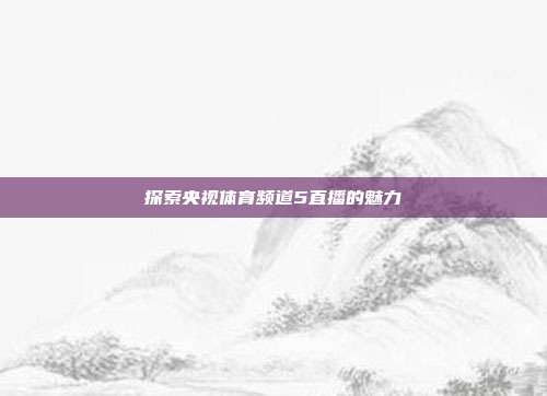 探索央视体育频道5直播的魅力