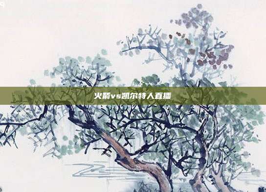 火箭vs凯尔特人直播