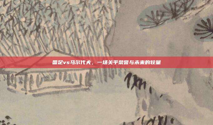 国足vs马尔代夫,一场关乎荣誉与未来的较量