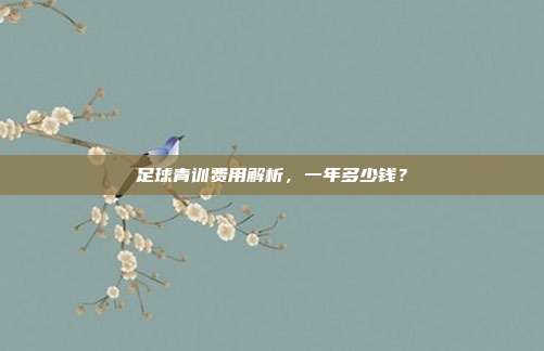 足球青训费用解析,一年多少钱?