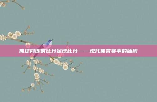 体球网即时比分足球比分——现代体育赛事的脉搏