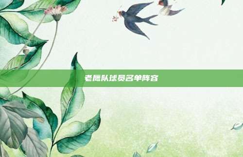 老鹰队球员名单阵容