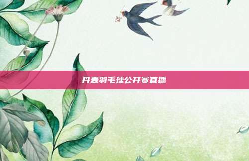 丹麦羽毛球公开赛直播
