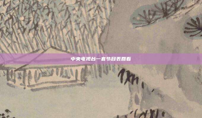 中央电视台一套节目表回看
