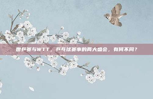 世乒赛与WTT，乒乓球赛事的两大盛会，有何不同？