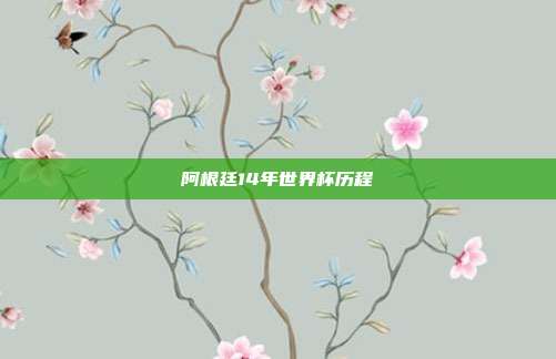 阿根廷14年世界杯历程