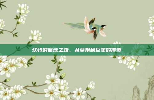 坎特的篮球之路,从草根到巨星的传奇