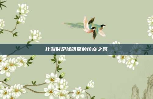 比利时足球明星的传奇之路