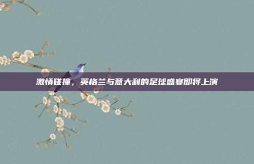 激情碰撞,英格兰与意大利的足球盛宴即将上演