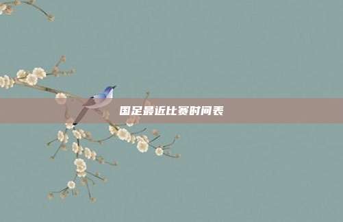 国足最近比赛时间表