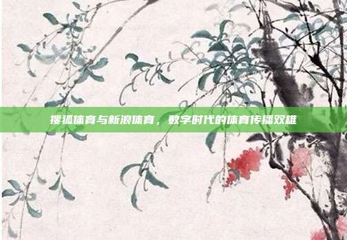 搜狐体育与新浪体育,数字时代的体育传播双雄