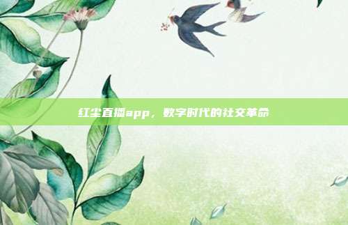 红尘直播app,数字时代的社交革命