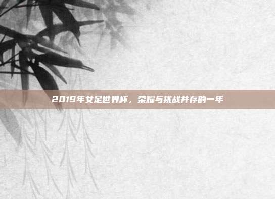 2019年女足世界杯,荣耀与挑战并存的一年