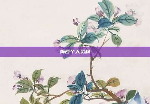 梅西个人资料