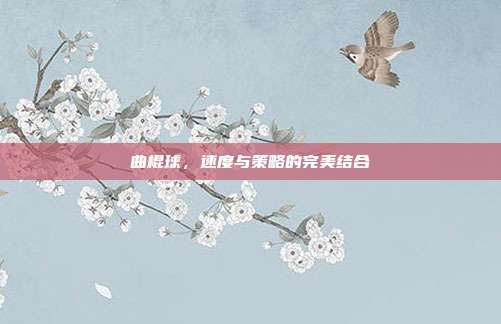 曲棍球,速度与策略的完美结合