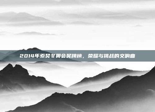 2014年索契冬奥会奖牌榜,荣耀与挑战的交响曲