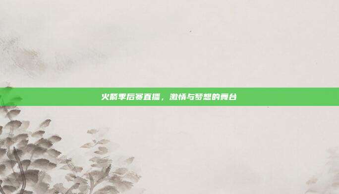 火箭季后赛直播,激情与梦想的舞台