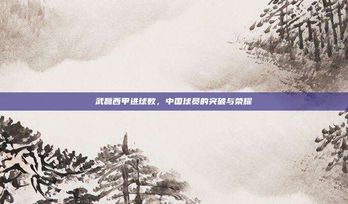 武磊西甲进球数，中国球员的突破与荣耀