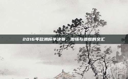 2016年欧洲杯半决赛，激情与遗憾的交汇
