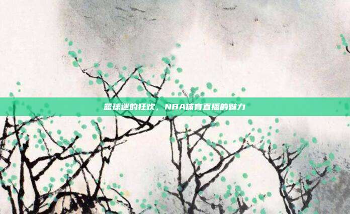 篮球迷的狂欢，NBA体育直播的魅力