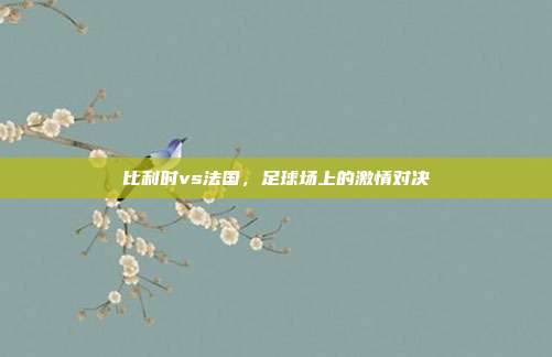 比利时vs法国,足球场上的激情对决