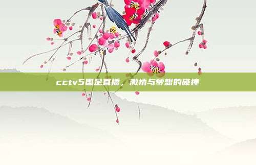 cctv5国足直播,激情与梦想的碰撞