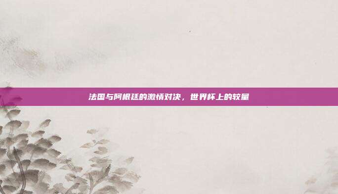 法国与阿根廷的激情对决,世界杯上的较量