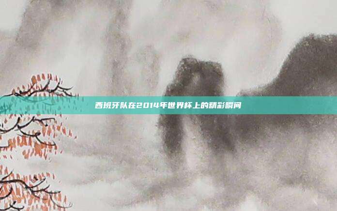 西班牙队在2014年世界杯上的精彩瞬间