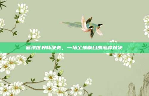 篮球世界杯决赛,一场全球瞩目的巅峰对决
