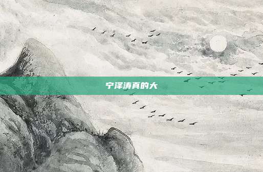 宁泽涛真的大