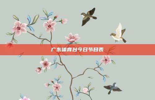 广东体育台今日节目表