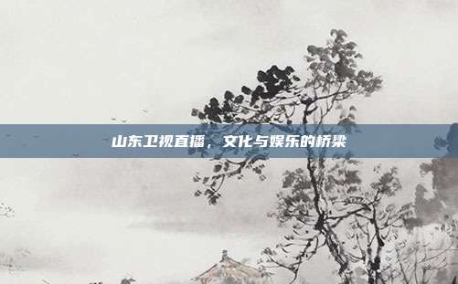 山东卫视直播，文化与娱乐的桥梁