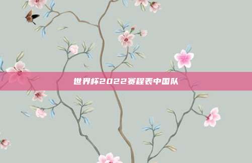 世界杯2022赛程表中国队