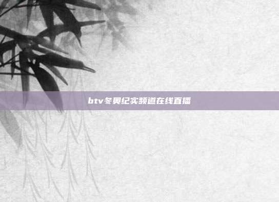 btv冬奥纪实频道在线直播