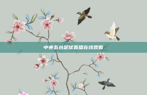 中央五台足球直播在线观看
