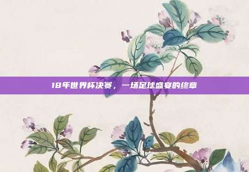 18年世界杯决赛,一场足球盛宴的终章