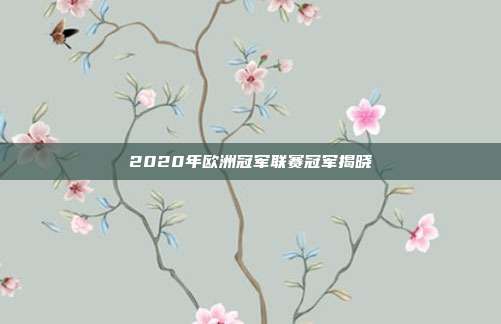 2020年欧洲冠军联赛冠军揭晓