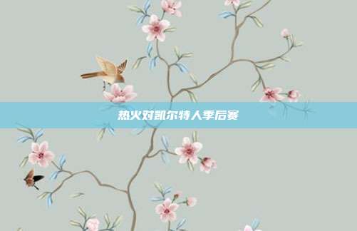 热火对凯尔特人季后赛