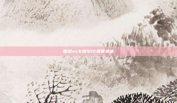 国足vs卡塔尔12强赛录像
