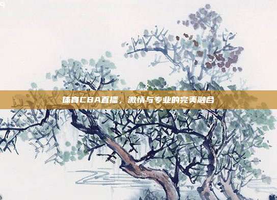 体育CBA直播,激情与专业的完美融合