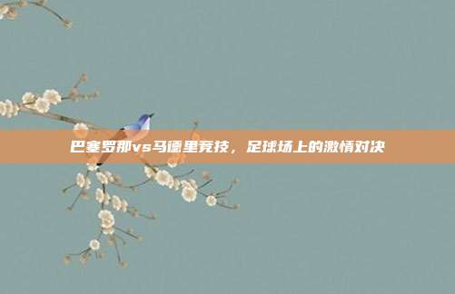 巴塞罗那vs马德里竞技，足球场上的激情对决