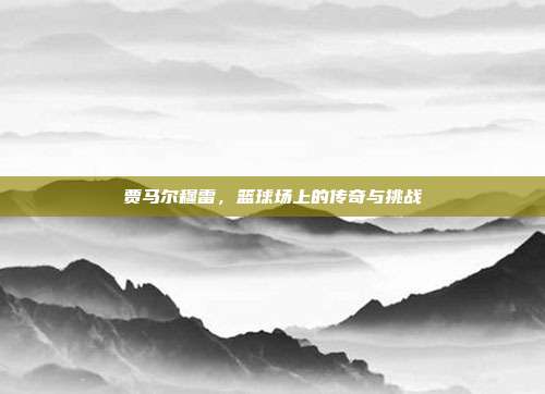 贾马尔穆雷,篮球场上的传奇与挑战