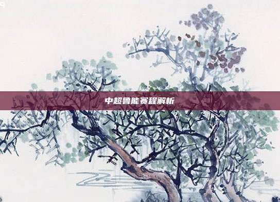 中超鲁能赛程解析