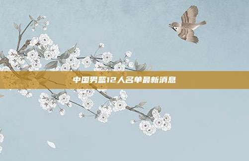 中国男篮12人名单最新消息