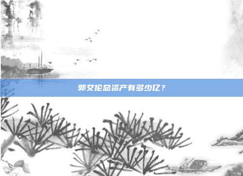 郭艾伦总资产有多少亿?