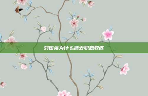 刘国梁为什么被去职总教练