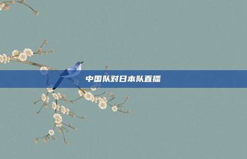 中国队对日本队直播