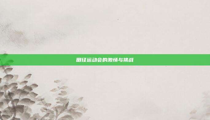 田径运动会的激情与挑战