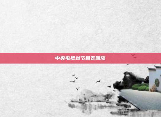 中央电视台节目表回放