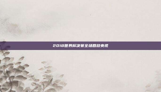 2018世界杯决赛全场回放央视